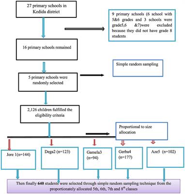 Factors associated with hygiene practices among primary school children in southern Ethiopia